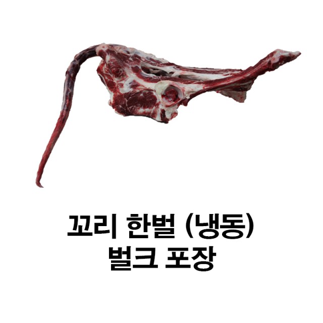 ǰ̹